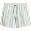 Boardies Stripe Swim Trunks In Multi
