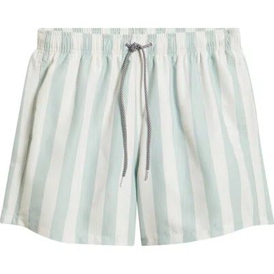 Boardies Stripe Swim Trunks In Multi