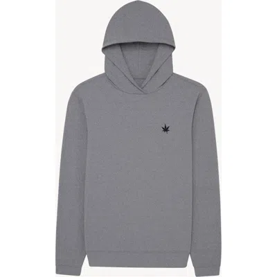 Boast Greenwich Sport Hoodie 2.0 In Gold