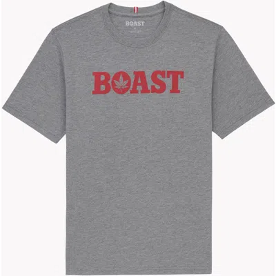 Boast Tee In Gray