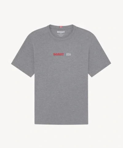 Boast Usa Tee In Gray