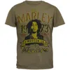 Bob Marley Men's Kingston Sheer Soft Short Sleeve T-shirt In Beige In Green