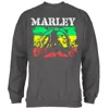 Bob Marley Men's Rasta Stripe Crewneck Sweatshirt In Charcoal In Black