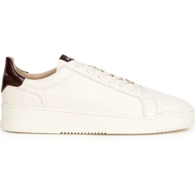 Bobbies Daniil Sneakers In White