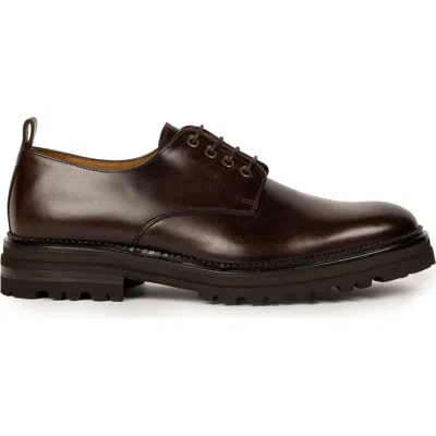 Bobbies Darren Derbies & Oxfords In Burgundy