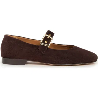Bobbies Mado Ballet Flats In Brown
