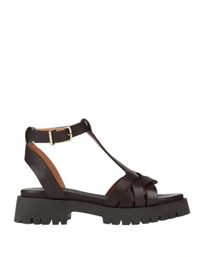 Bobbies Woman Sandals Chocolate Brown Size 7 Leather