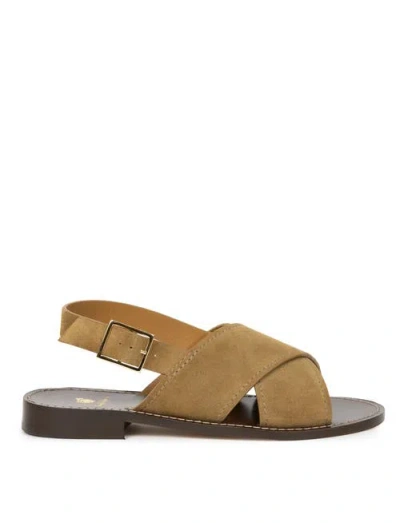 Bobbies Zita Flat Sandals In Multi