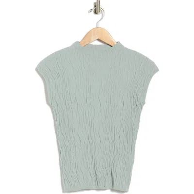 Bobeau Animal Jacquard Stripe Cap Sleeve Sweater In Blue