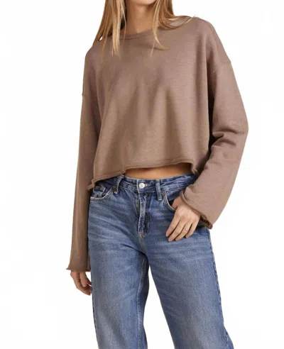Bobi Pullover Sweatshirt In Hazelnut In Brown
