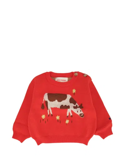 Bobo Choses Babies' Farm Adventure Cotton Sweater In Red