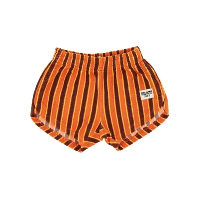 Bobo Choses Striped 'brick' Terry Shorts Kids In Orange