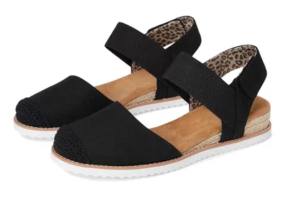 Bobs From Skechers Desert Kiss - Sun Shining In Black