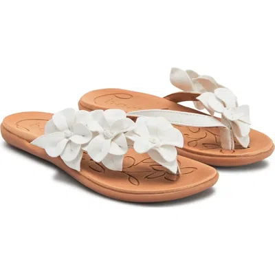 B.o.c. B. O.c. Hensley Sandals Women's M White Floral Detail Slip On Thong Htat1464