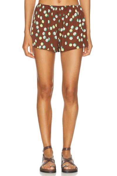 Bode Brown Bubble Dot Shorts In Brown Multi