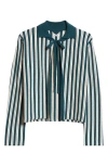 Bode Hogan Stripe Wool & Cashmere Cardigan In Green Multi