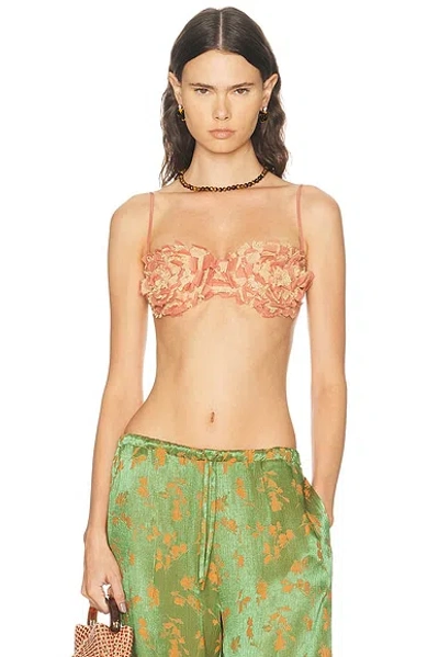 Bode Prairie Bra Top In Brown