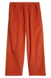Bode Stripe Trim Corduroy Track Pants In Multicolor
