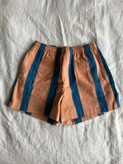 Pre-owned Bode Striped Shorts In Blue/pink