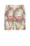 Bode Multicolor Sun Conure Shorts In Multi