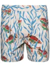 Bode Swimmers Shorts In Neutrals