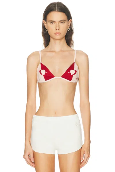 Bode Wonderland Two-tone Jacquard-knit Soft-cup Triangle Bra In Multi