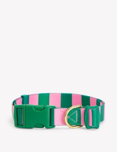 Boden Dog Collar Green/pink Stripe Women