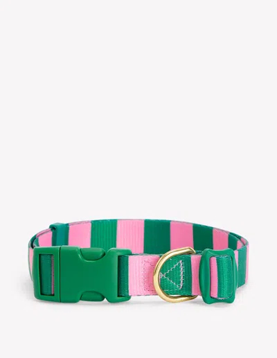 Boden Dog Collargreen/pink Stripe Women  In Green