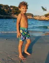 Boden Swim Shorts-rainbow Pets Male  In Multi