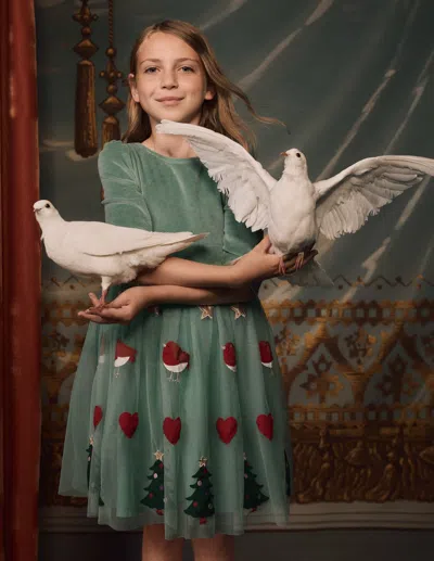 Boden Kids' Velour Tulle Appliqué Dress Robin Motif  In Multi