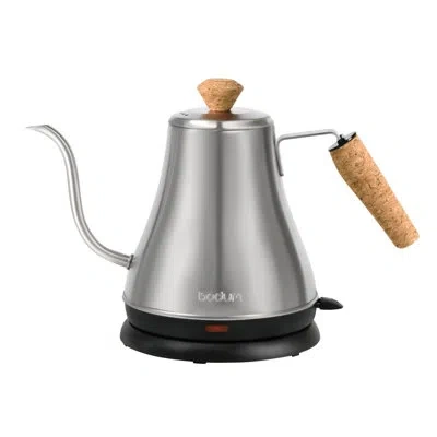 Bodum Melior Gooseneck Water Kettle, 27 Ounce In Stainless Steel