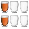 Bodum Neutrals Pavina Double Wall Glass Set In Transparent
