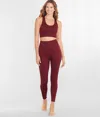 Body Up Women's Seamless Rib Leggings In Multi
