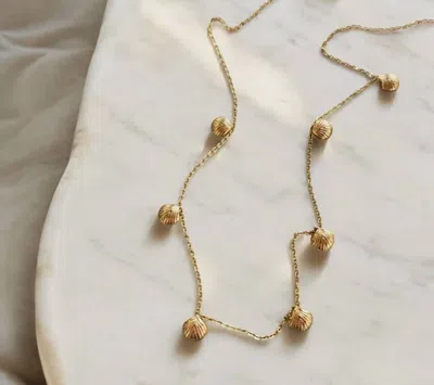 Boem Collection Eliana Dainty Shell Necklace In Gold