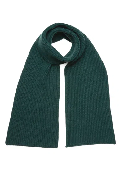 Boglioli Pure Cashmere Knit Scarf In Dark Green