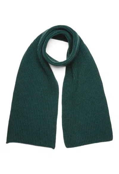 Boglioli Pure Cashmere Knit Scarf In Dark Green
