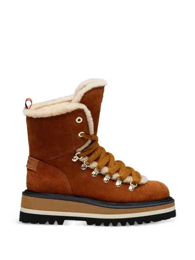 Bogner Lace-up Boots In Brown