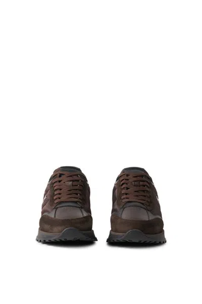 Bogner Newport Sneakers In Brown
