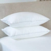 Bokser Home 2 Pack Medium Down Alternative Bed Pillow In White