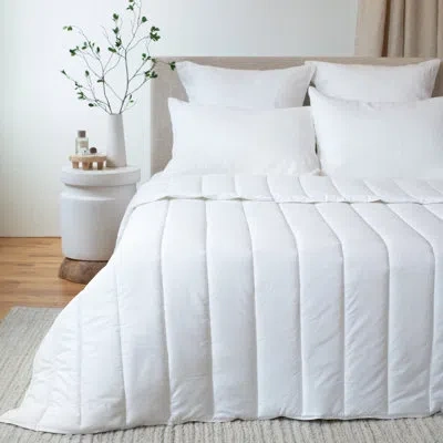 Bokser Home All Season Down Alternative Blanket Comforter In White
