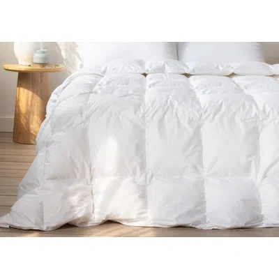 Bokser Home Extra Warm 700 Fill Power Luxury White Duck Down Duvet Comforter Insert