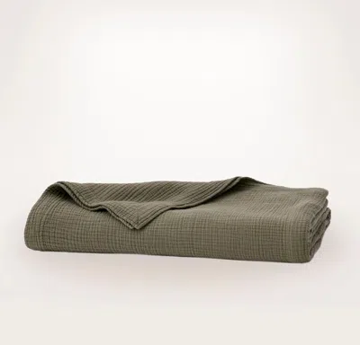 Boll & Branch Dream Bed Blanket In Green