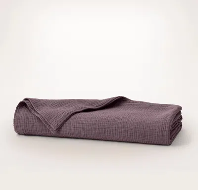 Boll & Branch Dream Bed Blanket In Purple