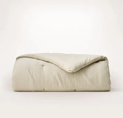 Boll & Branch Dream Comforter