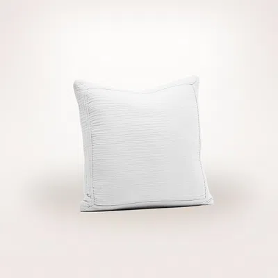 BOLL & BRANCH DREAM DECORATIVE PILLOW WITH INSERT, 20 X 20