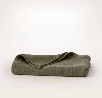Boll & Branch Dream Throw Blanket