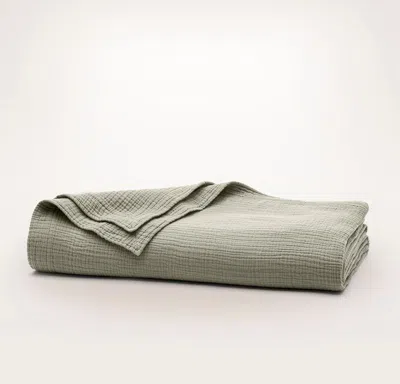 Boll & Branch Organic Bed Blankets In Sageleaf Dream