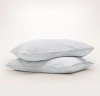Boll & Branch Organic Signature Vintage Washed Pillowcase Set In Vintage Sky