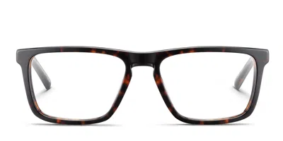 Bolle Epid 01 Tortoise