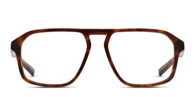Bolle Epid 02 Tortoise